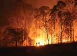 Bushfire Planning For You and the Person You Care For Online